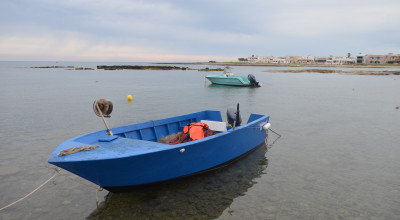 Proroga termini al 31 maggio 2021 per l&rsquo;intervento 3.4 &ldquo;Rete virt...