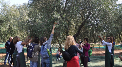 Nuova proroga per Il Pacchetto multi misura per l&rsquo;avvio e lo sviluppo d...