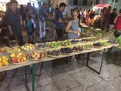 Nuova proroga dei termini per l&rsquo;intervento 4.1 &ldquo;Accompagnamento a...