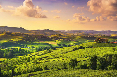 Langhe piemontesi Langhe piemontesi